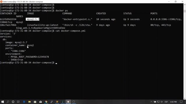 81. Environment variables in Compose || Docker, From Zero To Hero Become a DevOps Docker Master смотреть онлайн