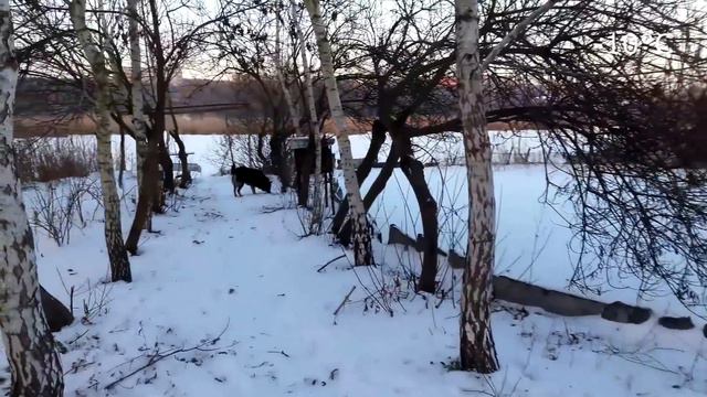 Славянск. 13 января 2024г. Старый Новый Год!!! смотреть онлайн