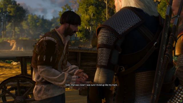 The Witcher 3 I Game Play