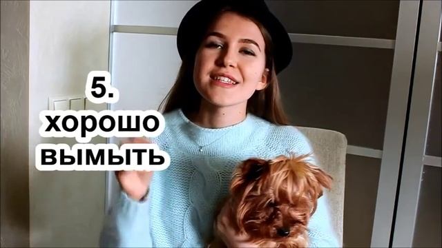 КАК ПРИУЧИТЬ ЩЕНКА К ПЕЛЁНКЕ смотреть онлайн