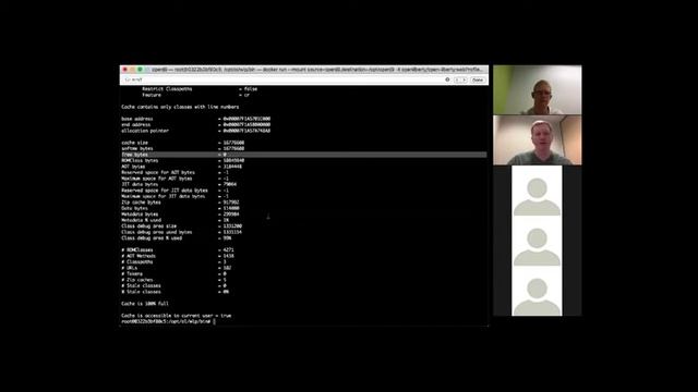 Eclipse OpenJ9 lightning talk: Sharedclasses and AOT 2018-05-09 смотреть онлайн