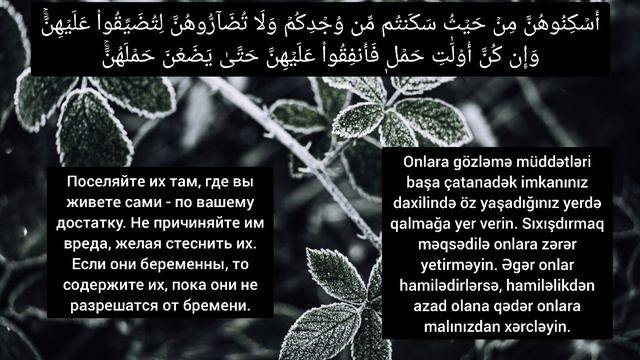 Mansur Al Salimi - at Talaq | ат Талак (rus) (aze) смотреть онлайн