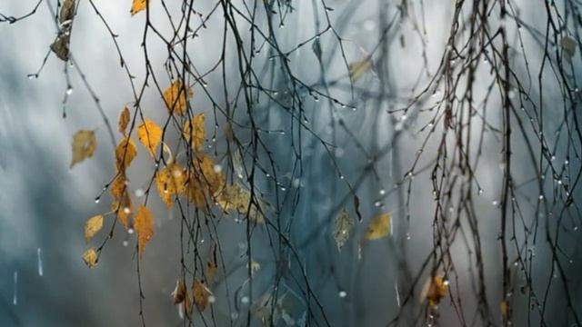 SM_040 Закончилось лето (720p., 01'46'') смотреть онлайн