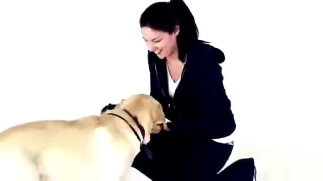 Поводок рулетка Flexi New Comfort L Tape, лента, для крупных собак смотреть онлайн