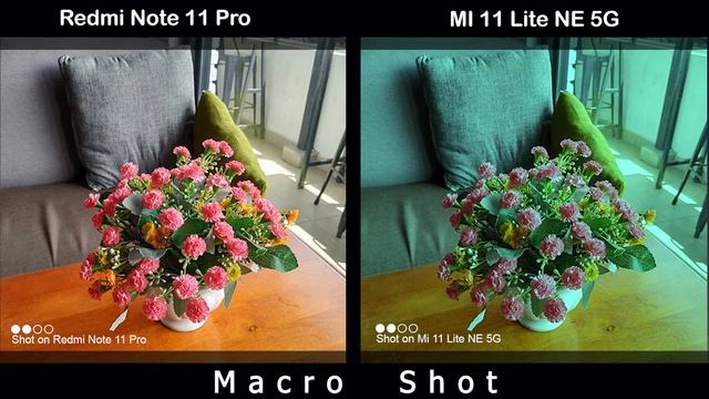 Redmi Note 11 Pro Vs Mi 11 Lite NE 5G | Camera Comparison | Camera Test | | Tech Song |