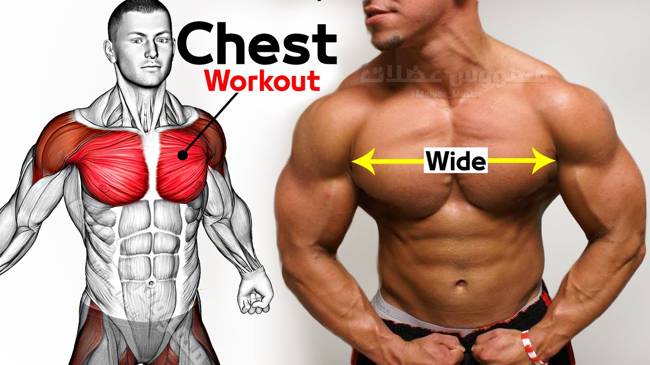 ? Как быстро накачать грудь (6 эффективных упражнений) смотреть онлайн