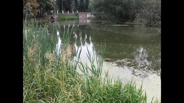 Парк Лефортово до благоустройства 2017 смотреть онлайн