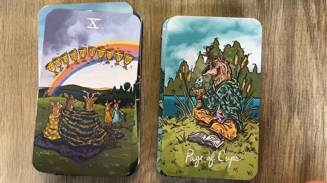 Northern Animal Tarot v2 - 4K flip thru смотреть онлайн