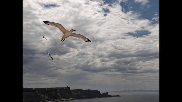 Песня на мои стихи "Девушка из маленькой таверны". Поёт Олег Ветошев смотреть онлайн