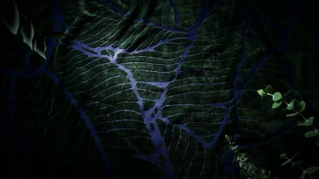 Полотенца Very Marque #stayhome смотреть онлайн