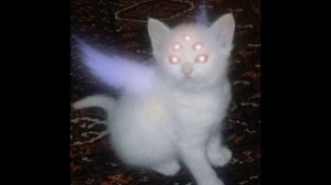 Kitty City by Cyriak Harris (sped up)