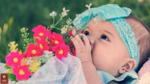 Молитвы о детях     Канон за болящего  Песнь 7