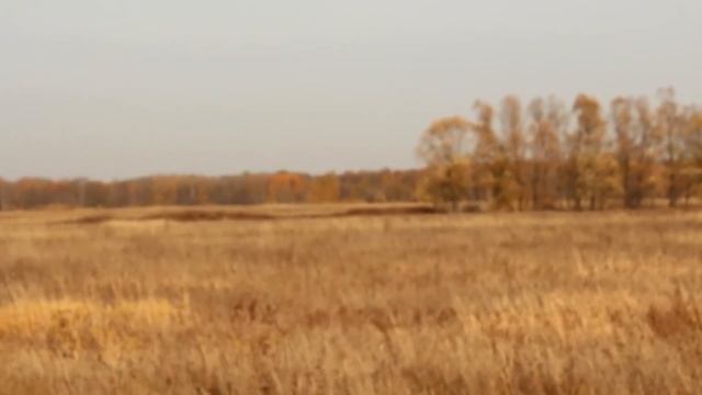 Как найти участок для покупки смотреть онлайн