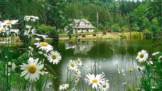 «Литературные КРАЙности» Старомужева Ирина Петровна, стихотворение «Друзьям» смотреть онлайн