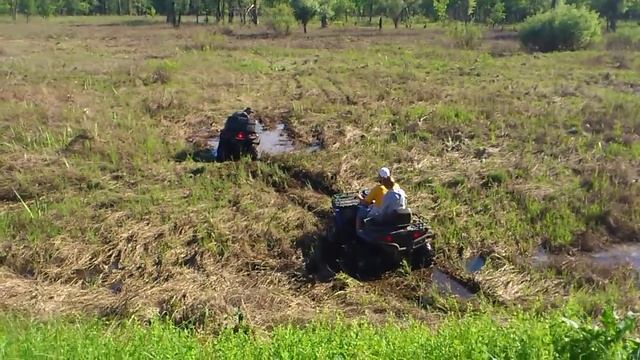 Помощь на болотах смотреть онлайн