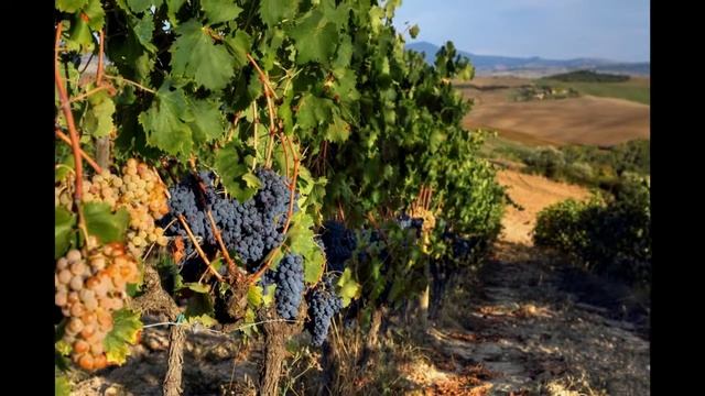 ТОСКАНА. ЛУЧШЕЕ... ЧАСТЬ 3. ВАЛЬ-д’ОРЧА смотреть онлайн