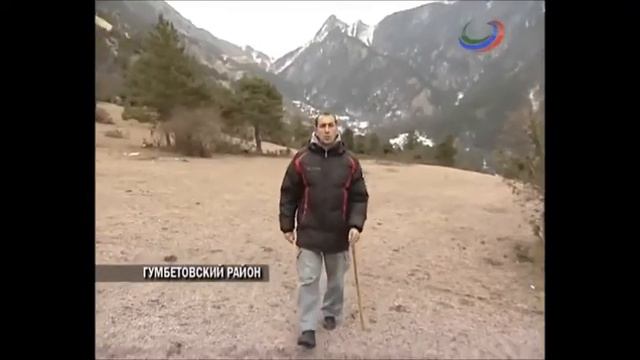 Лес заменил Эльмире онкологическую клинику, а березовый сок лекарства смотреть онлайн