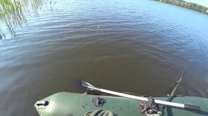 Рыбалка на поплавок с лодки в камышах