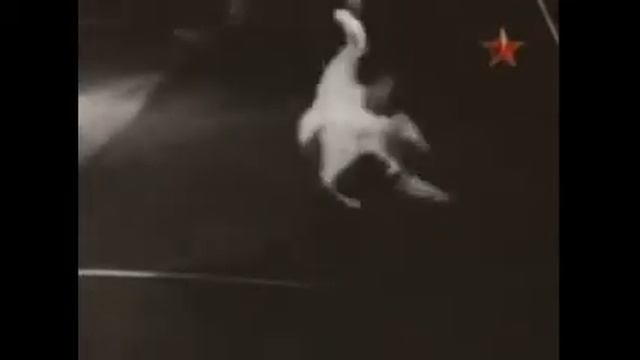 Котик в невесомости смотреть онлайн