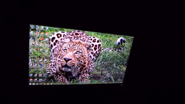Samsung S24D390HL Viewing Angles смотреть онлайн