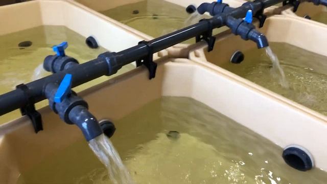 Передержка узв для морепродуктов смотреть онлайн