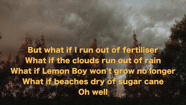 Lemon Boy Acoustic Karaoke смотреть онлайн