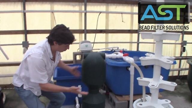 Fish Filter Acclimation: How to Cycle a New System смотреть онлайн
