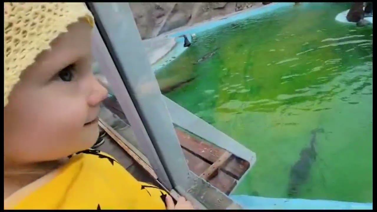 Зашли в РОСТИКС. Поход в Ижевский зоопарк 1 часть. смотреть онлайн