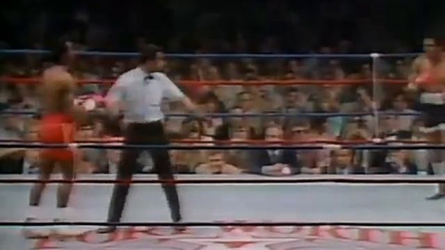 Donald Curry vs. Eduardo Rodriguez Ruiz.World WWC.1986.03.06 смотреть онлайн