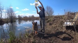 Рыбалка на болоте. День Рождения пса Ларри!