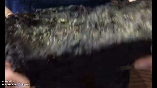 Цзинь Хуа Хэй Ча смотреть онлайн