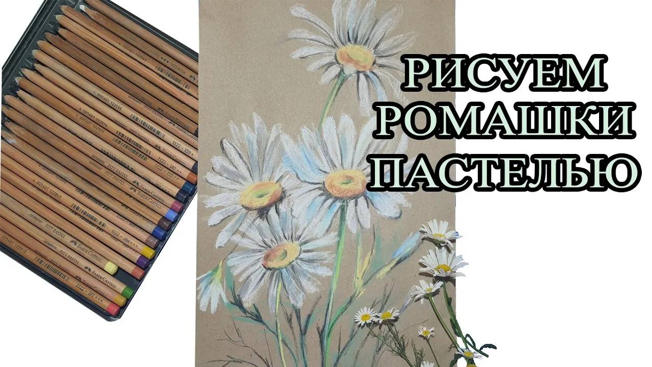 Рисуем ромашки пастелью _ мастер класс смотреть онлайн