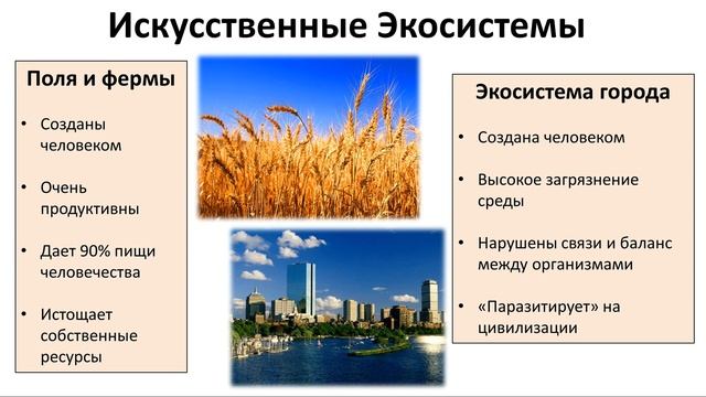 16. Охрана окружающей среды (5 класс) - введение в Биологию смотреть онлайн