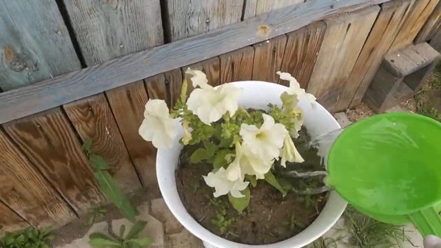 Едем на дачу.... Встречаем посылку.... смотреть онлайн