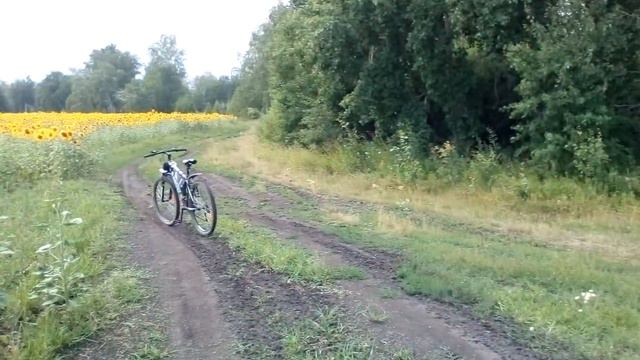 Поле подсолнухов смотреть онлайн