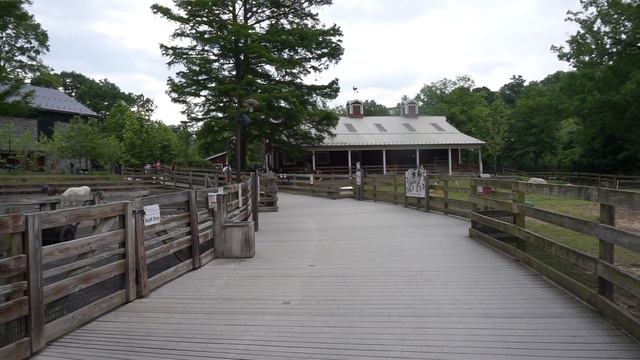 10 TIPS FOR VISITING THE SMITHSONIAN NATIONAL ZOO!!! смотреть онлайн