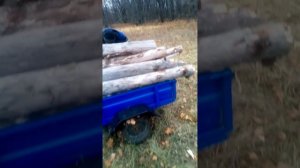 video_6814528771417.mp4