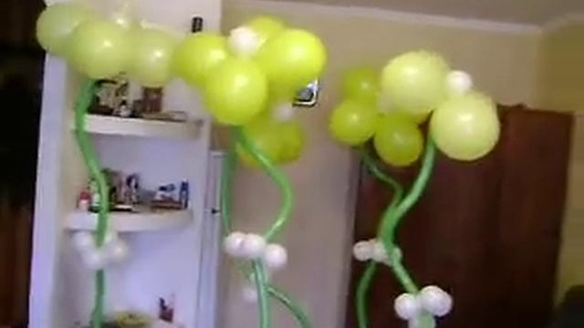 Цветы из шаров от Дизайн-студии "Шар & Шарм"703-92-13,701-82-93, смотреть онлайн