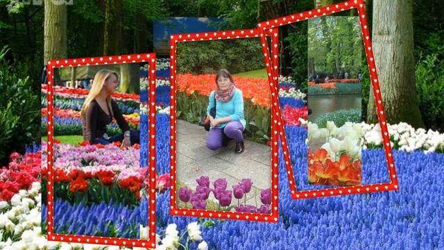 Вальс цветов фестиваль в Нидерландах смотреть онлайн