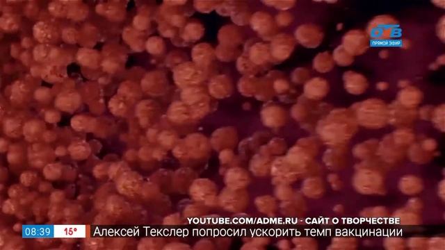Читать – не перечитать – книги о еде смотреть онлайн