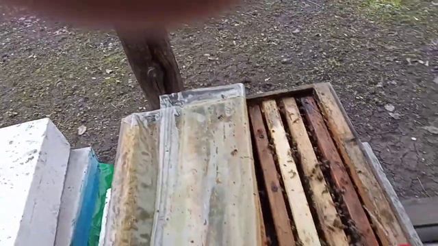 Обработка щавелевой кислотой. смотреть онлайн