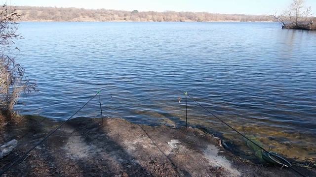 СУПЕР РЫБАЛКА КРУПНЯ ТАРАНЬ БЕШЕНЫЙ КЛЁВ. смотреть онлайн