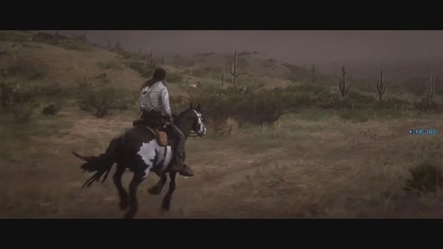 Red dead online Black Overo Mustang смотреть онлайн