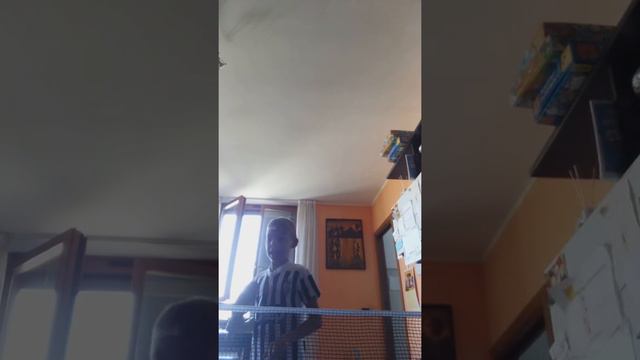 5 regole del ping pong in casa 🏠🏓 смотреть онлайн