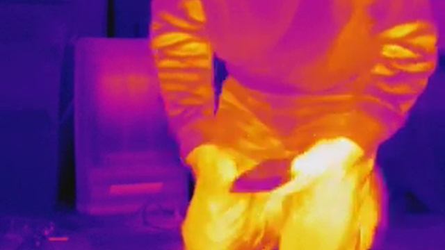 FLIR Vue Pro Fusion Mode смотреть онлайн