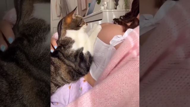 Иногда хочется просто стать котом... смотреть онлайн