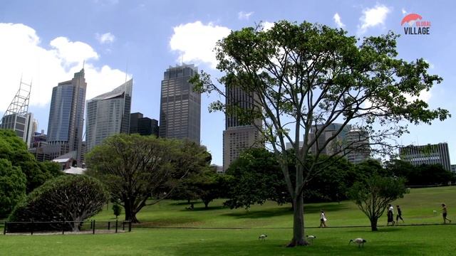 Sydney Travel Guide 2022 - Best Places to Visit in Sydney Australia in 2022 смотреть онлайн