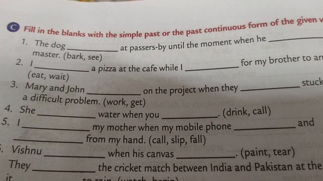 ICSE V PAST SIMPLE AND CONTINUOUS 14 смотреть онлайн