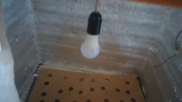 Термобокс для рассады смотреть онлайн