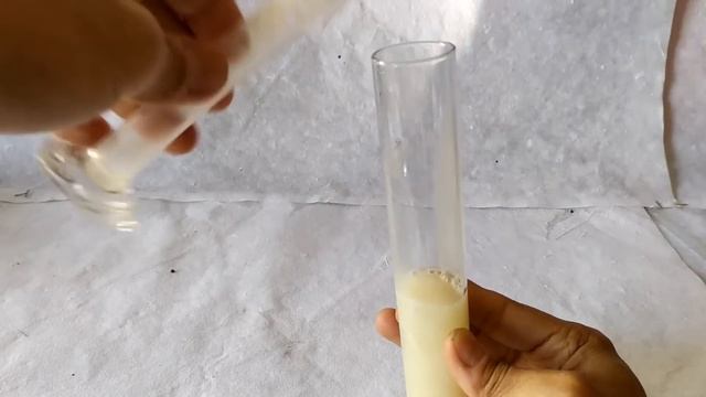 Fermentation in Yeast Experiment смотреть онлайн